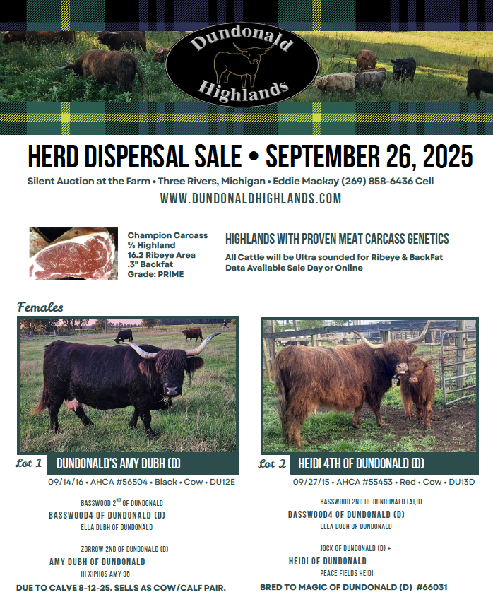 Dundonald Highlands Herd Dispersal Sale September 26-2025